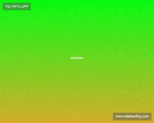 赛事运营的内容关系图