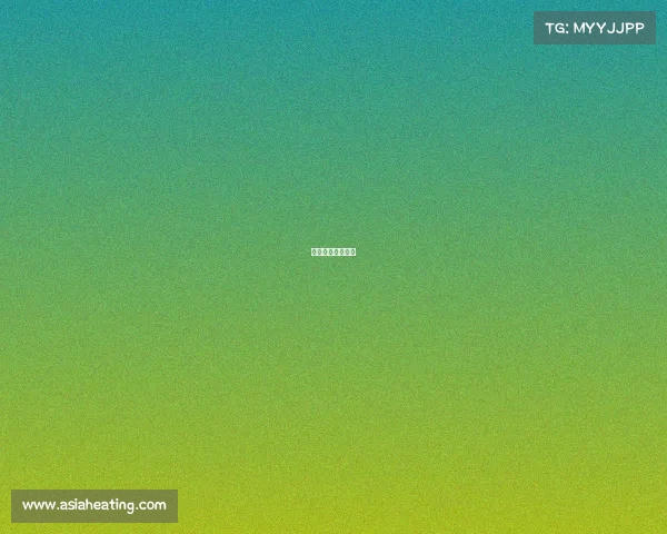 英格兰足球队荣誉