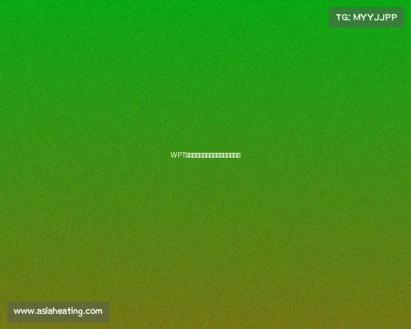 WPT赛事直播全球扑克巅峰对决实时上演