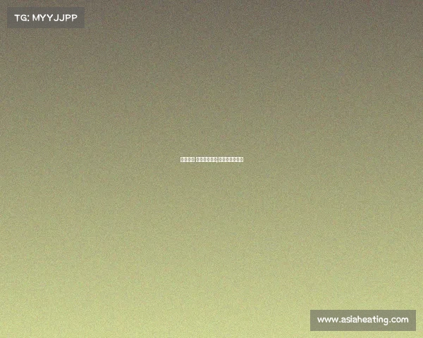 女排赛季 各项赛事安排;女排赛事安排表 女排赛季 各项赛事安排;女排赛事安排表